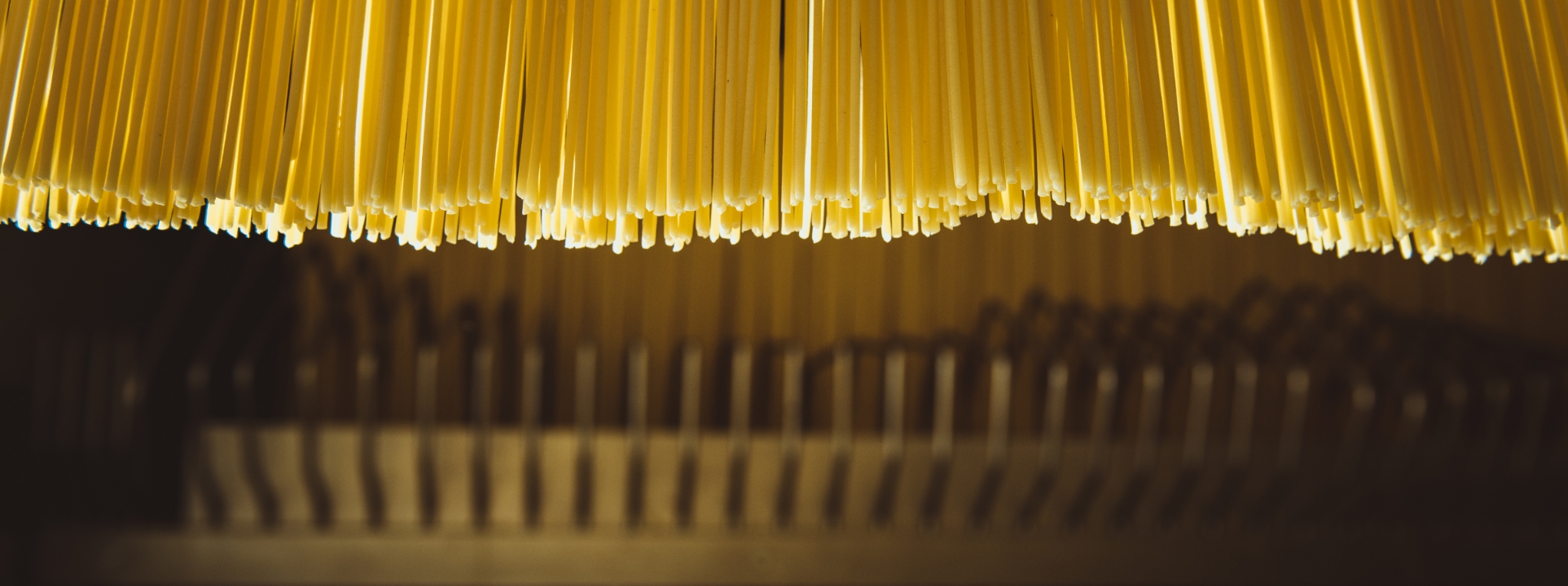 Discover the whole Liguori Method