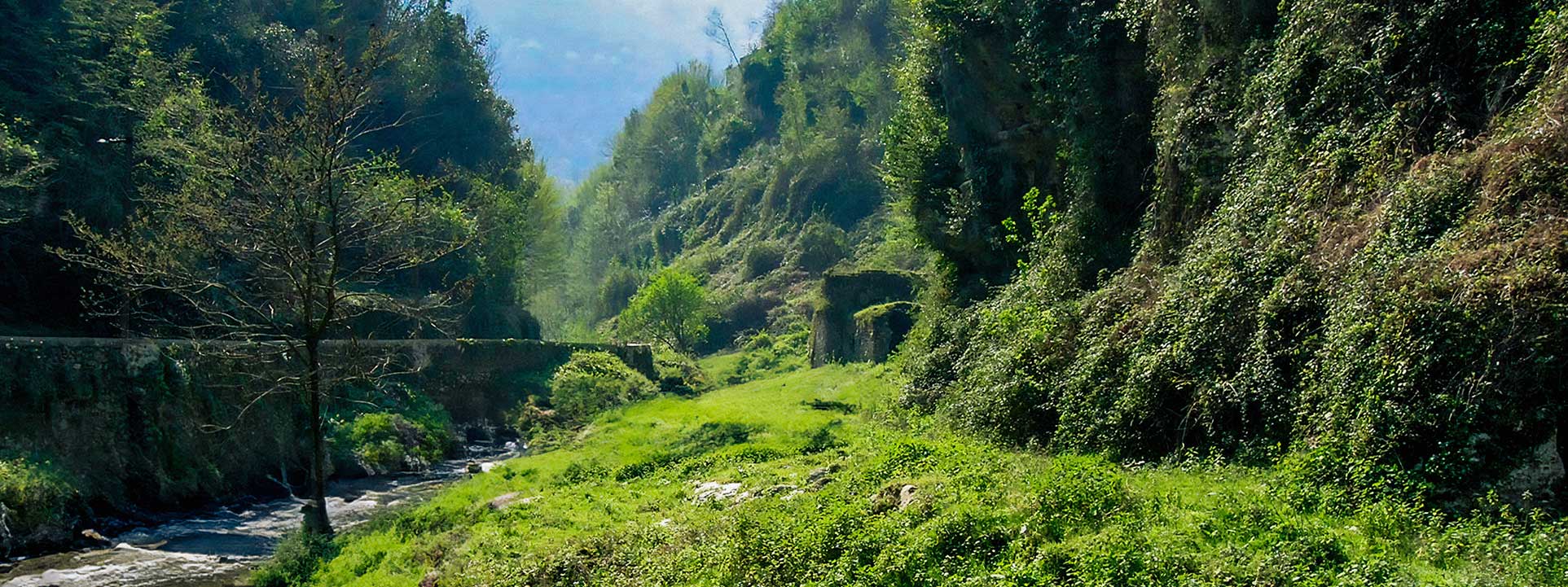 Discover the territory of Gragnano